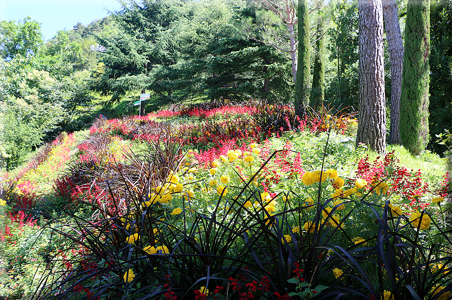 foto Giardini Trauttmansdorff - Giardini del Sole